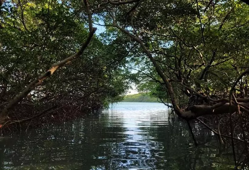 ペンション Vila Coqueiro   Moitas