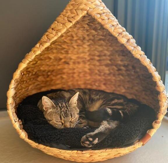 צימר Chambre D Hôtes Petit Paradyzen Lac Du Salagou