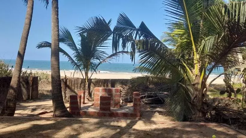ペンション The Wood Beach House