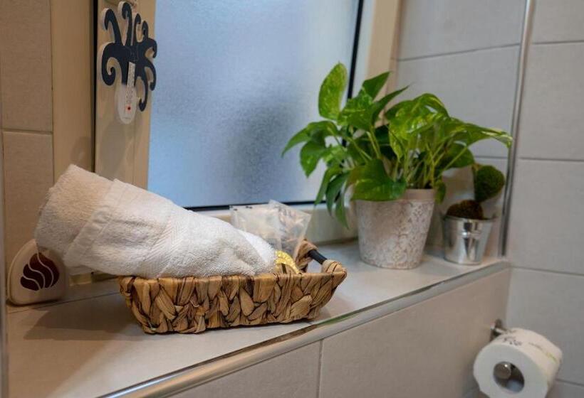 פנסיון Vico 11