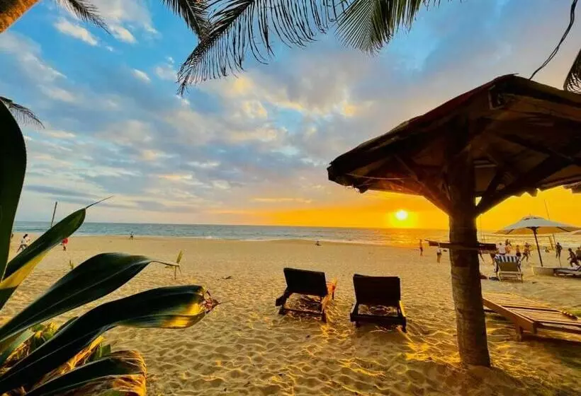 پانسیون Hikka Surf Hostel
