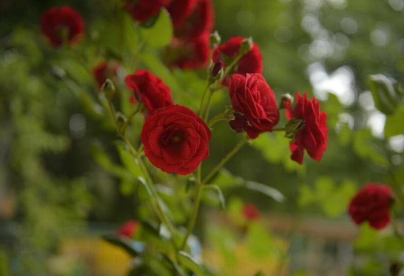 Majatalo Gîte De Montagne Salle De Fête Thorenc