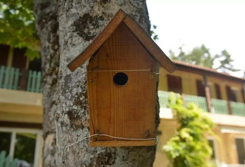 ペンション Gîte De Montagne Salle De Fête Thorenc