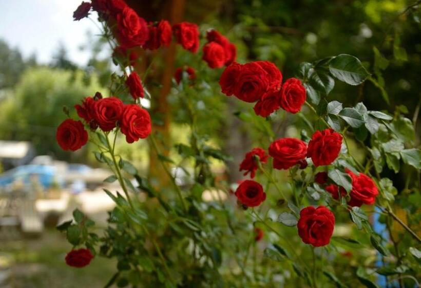 Majatalo Gîte De Montagne Salle De Fête Thorenc