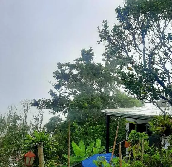 ユースホステル Posada Turística La Ceiba