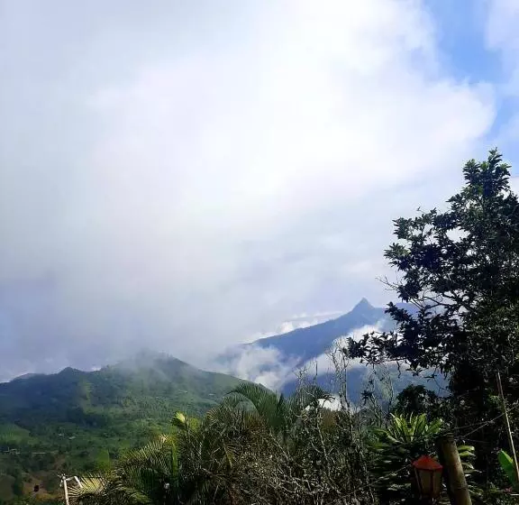 ユースホステル Posada Turística La Ceiba