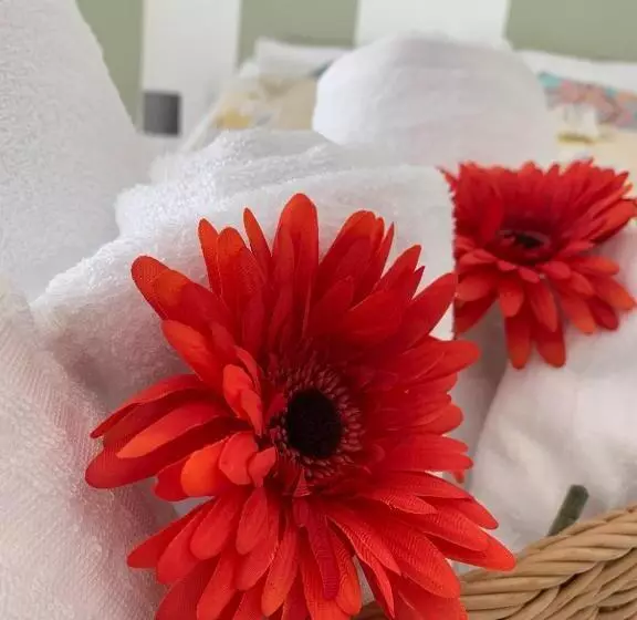 Aamiaismajoitus (B&B) Camera   Torre Dell Orologio