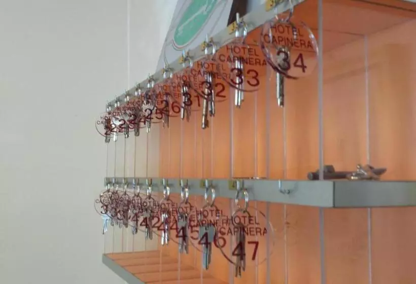 Отель Garnì Capinera