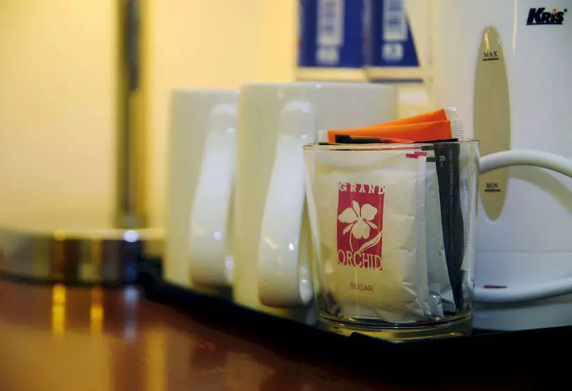 Отель Grand Orchid