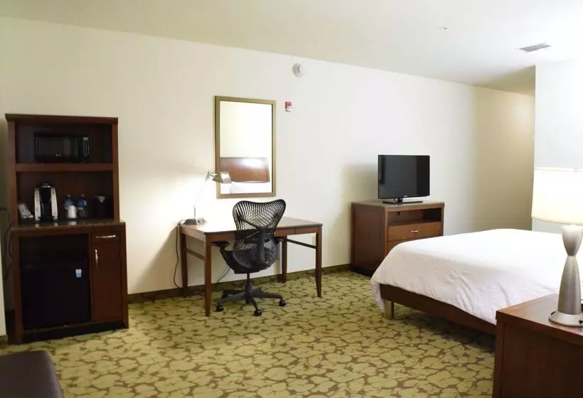 فندق Hilton Garden Inn Rochester Downtown, Ny