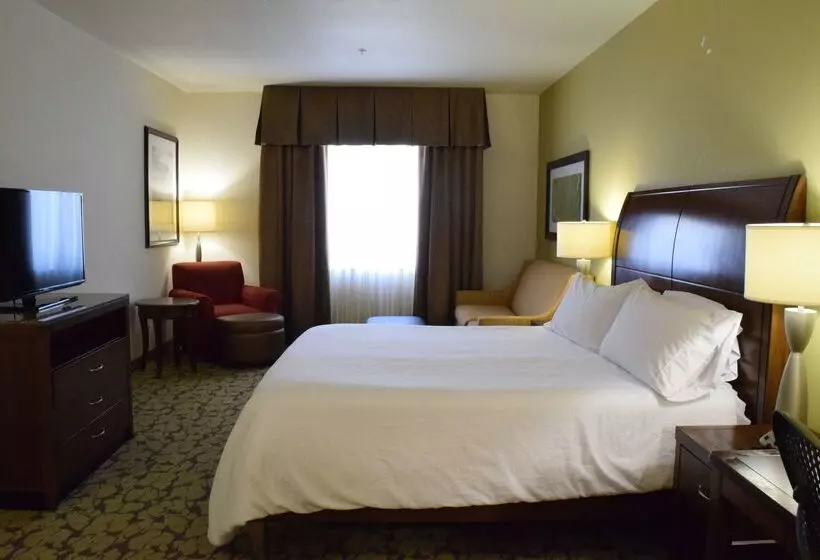 فندق Hilton Garden Inn Rochester Downtown, Ny