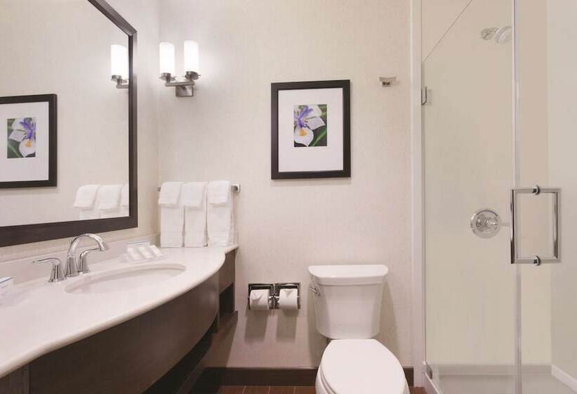 Отель Hilton Garden Inn Rochester Downtown, Ny