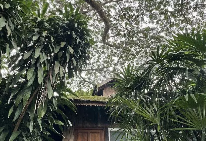 Hotel Rimpai Cottage