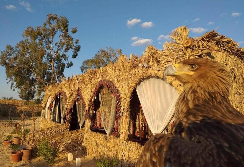 هاستل Tijan Siwa