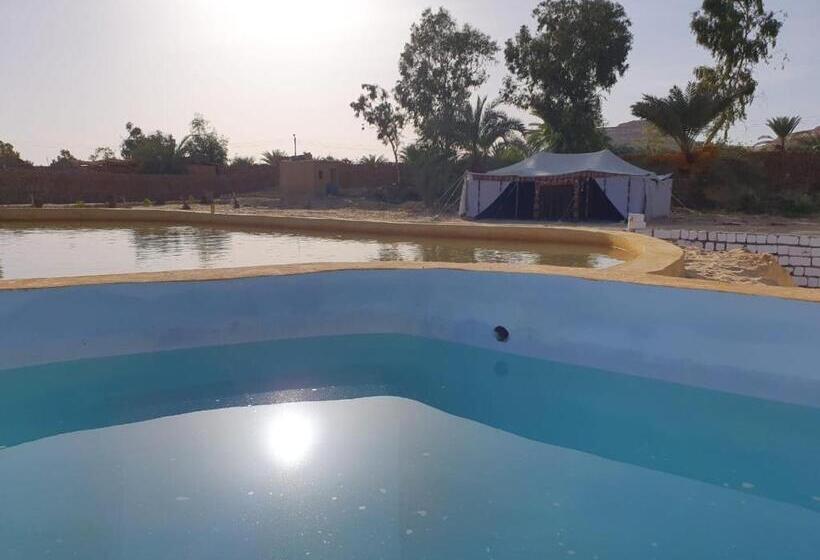 هاستل Tijan Siwa