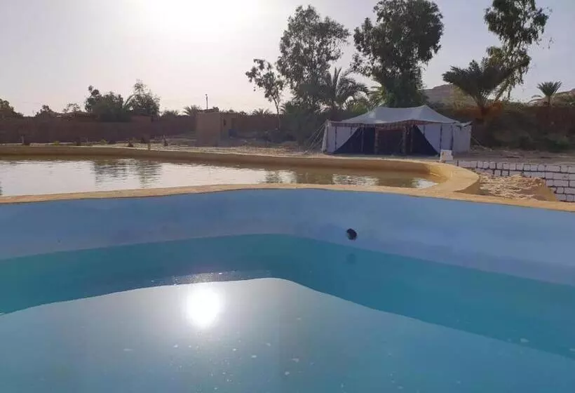 هاستل Tijan Siwa