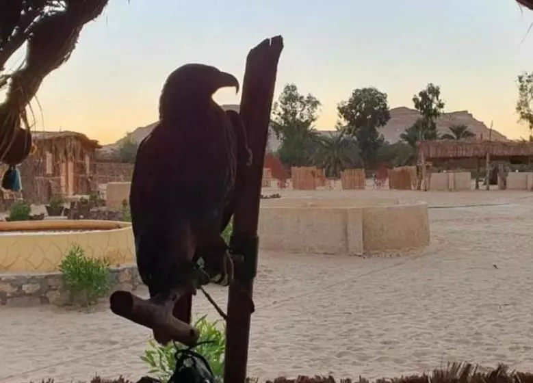 هاستل Tijan Siwa