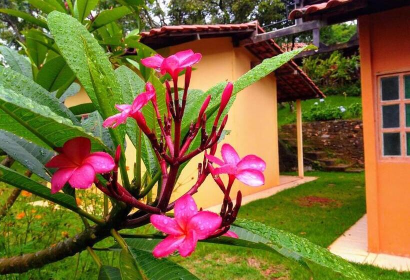 פנסיון Govinda Moeda Pousada