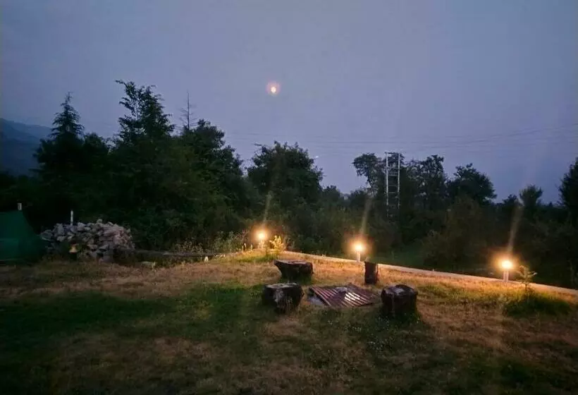 ユースホステル Trippy Stays Bir