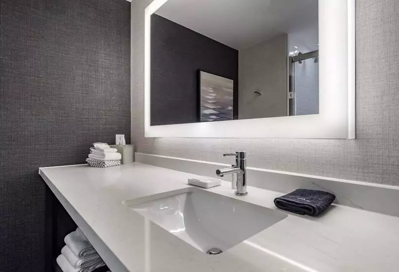 Cambria Hotel Minneapolis Downtown