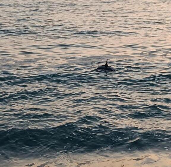 هتل Villa Golden Fleece