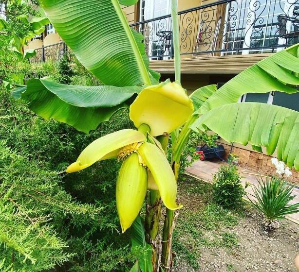 هتل Villa Golden Fleece