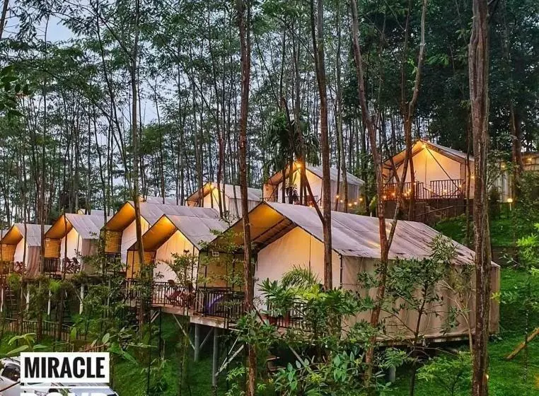 Hotel Miracle Signature Hills