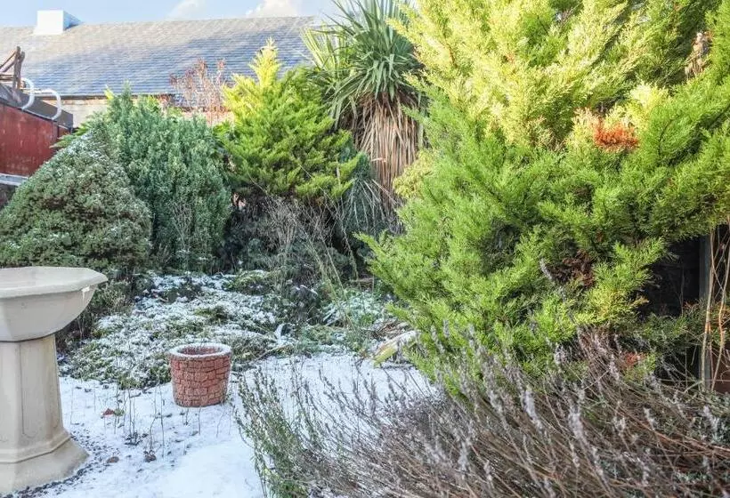 ペンション Mystayinn Tomnahurich Guest House