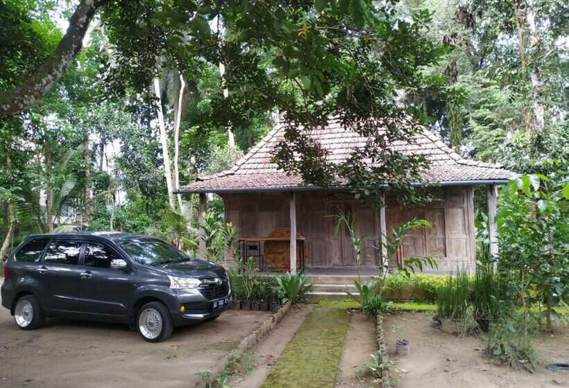 Pension Omah Kayu Jagalan