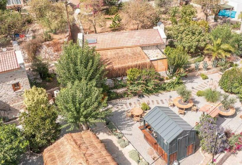 住宿加早餐 Ultava Houses