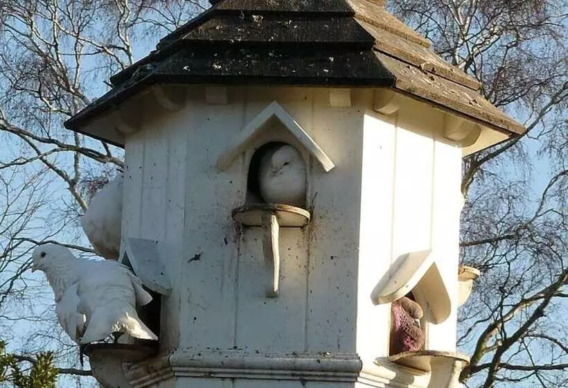 Aamiaismajoitus (B&B) The Red Lion Hinxton