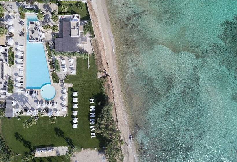 ホテル Canne Bianche Lifestyle