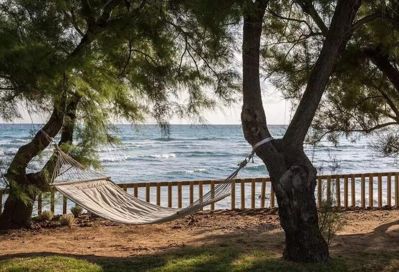 ホテル Canne Bianche Lifestyle