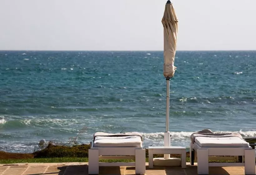 ホテル Canne Bianche Lifestyle