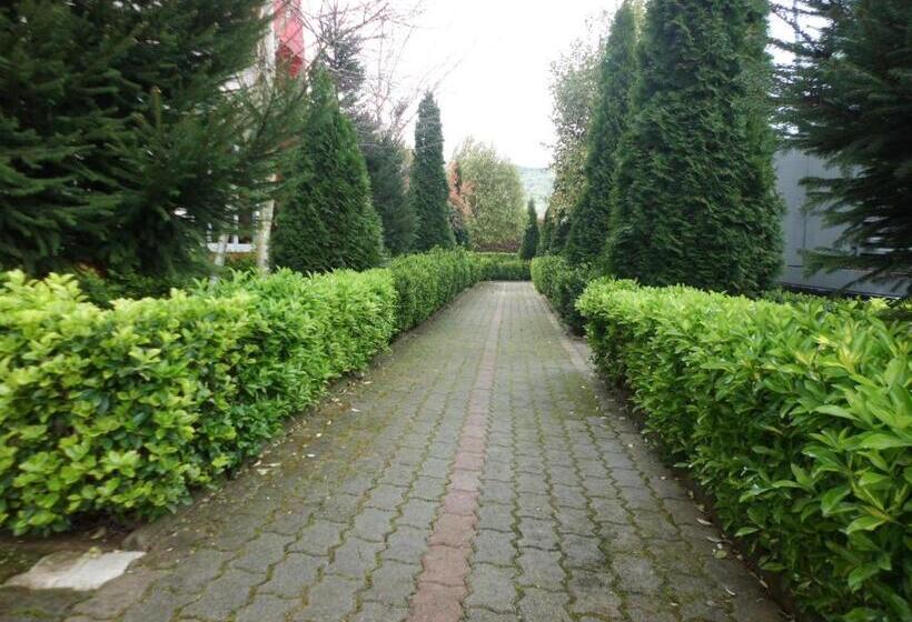 בית מלון כפרי Class