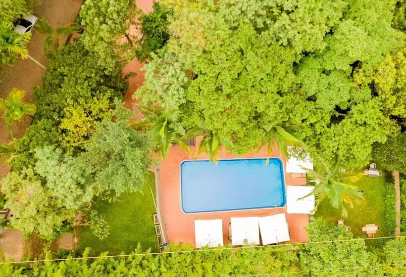 هتل Forest Cottages