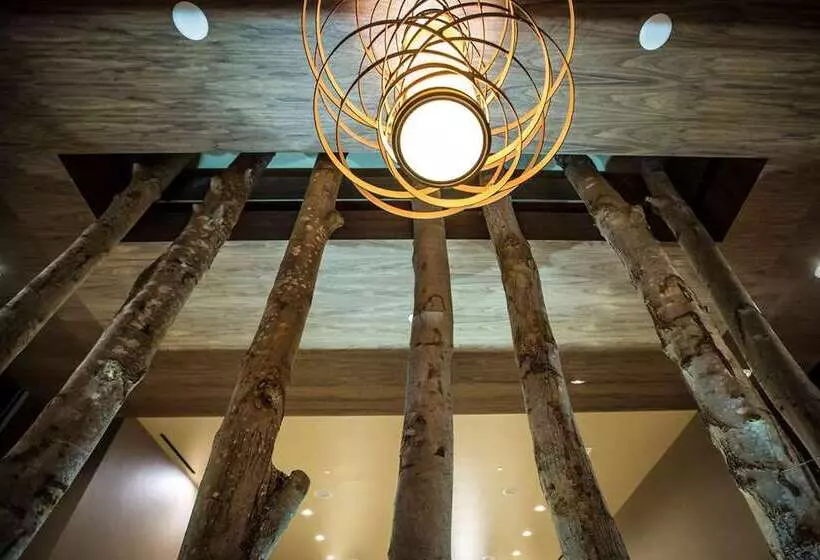 ホテル Homewood Suites By Hilton Charlotte Ballantyne, Nc