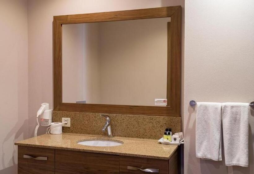 בית מלון כפרי Ladies Beach Suite