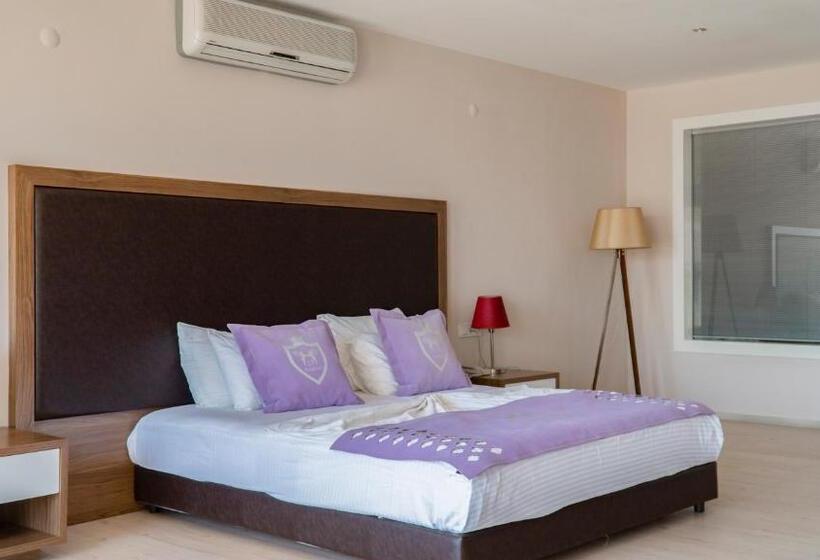 בית מלון כפרי Ladies Beach Suite