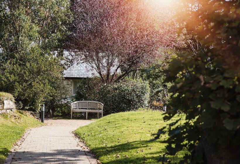 Сельский отель The Plume Of Feathers