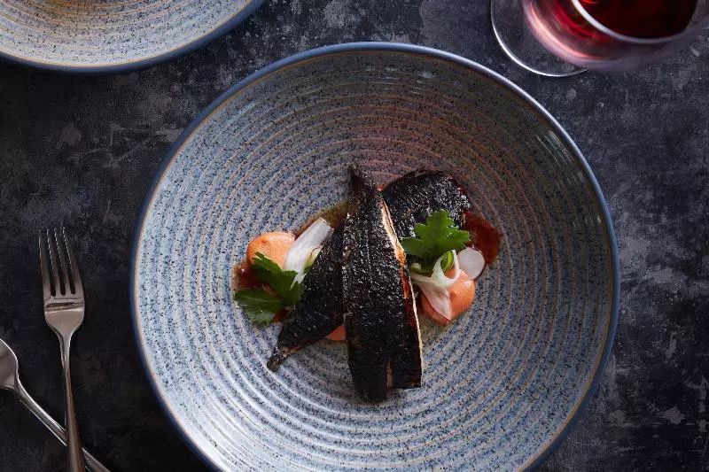 Kır Oteli The Plume Of Feathers