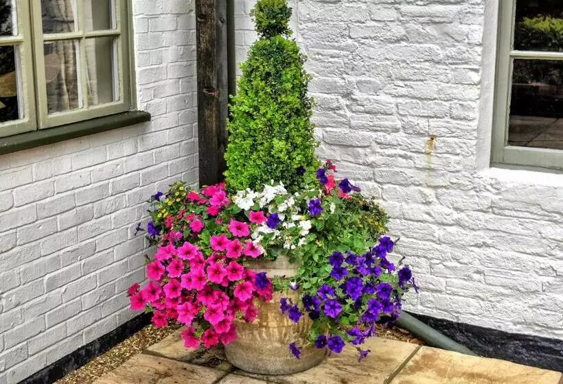 ホテル Narrowboat At Weedon
