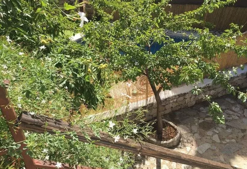 Pensione Posada El Parral