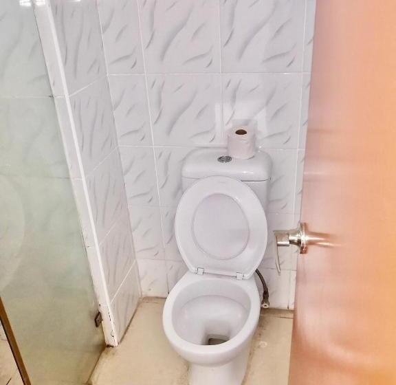 فندق Trans International