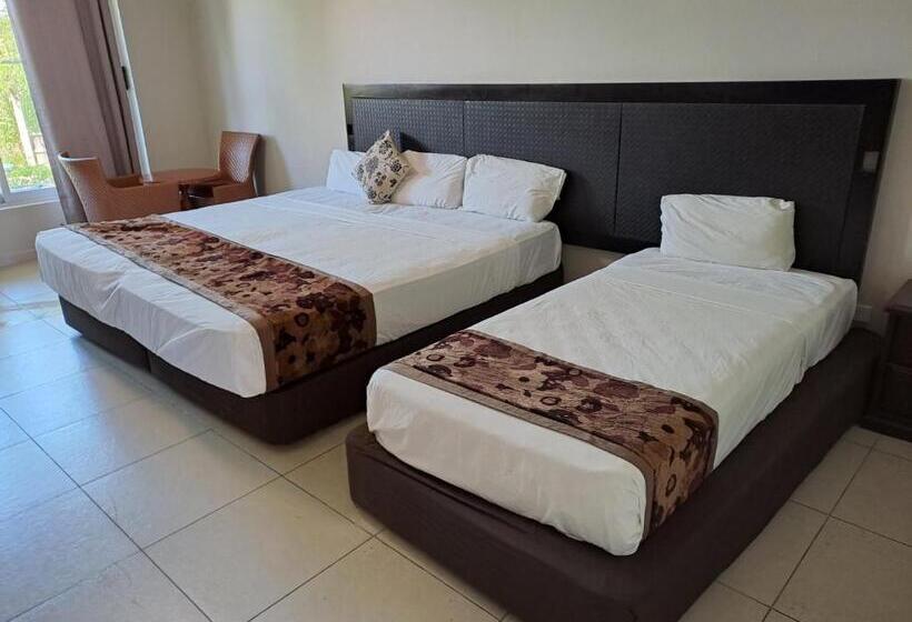 فندق Trans International