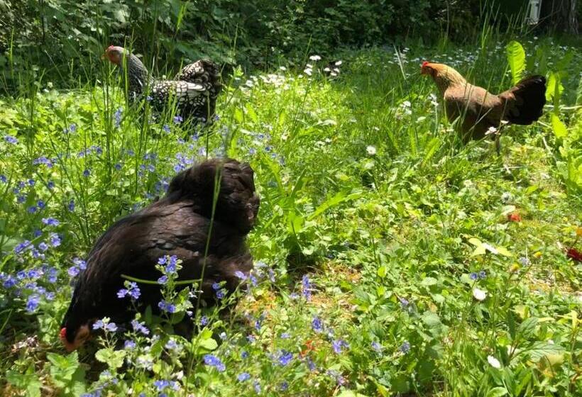 민박 Le Jardin De Fresnes