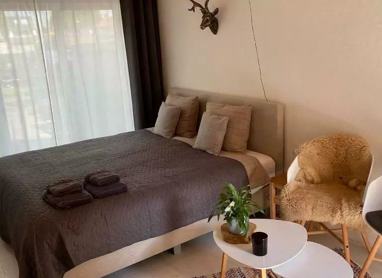 Bed And Breakfast Heerenveen Centrum Met Privé Sauna En Jacuzzi