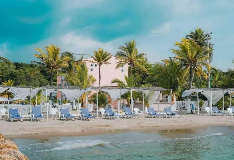 ホテル Makary Beach