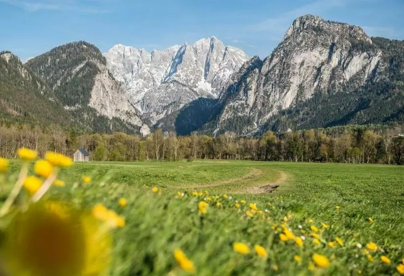 ペンション Xeis Nest