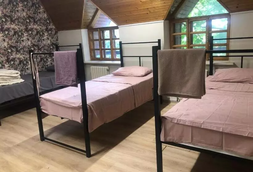 Friends Hostel